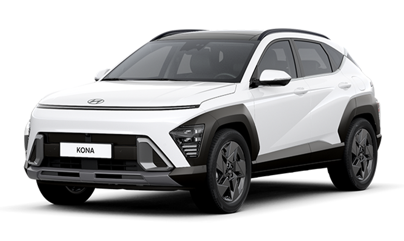 아틀라스 화이트 익스테리어